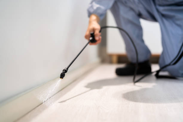 Licensed Termite Control service in Trinity, NC - Nex Pest Control