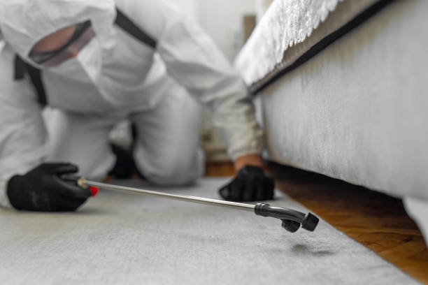 Professional Termite Control technician working in Trinity, NC