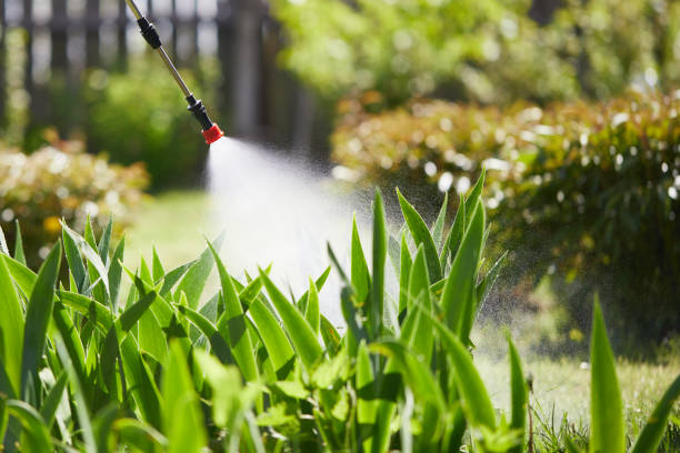 24/7 Emergency Termite Control experts in Trinity, NC