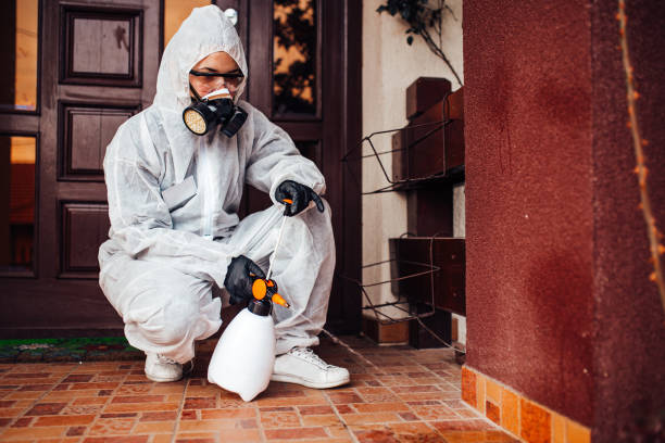Reliable Termite Control contractor in Trinity, NC by Nex Pest Control