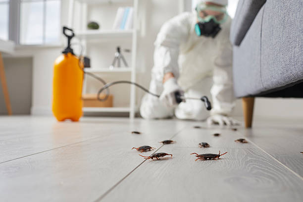 Affordable Termite Control solutions in Trinity, NC