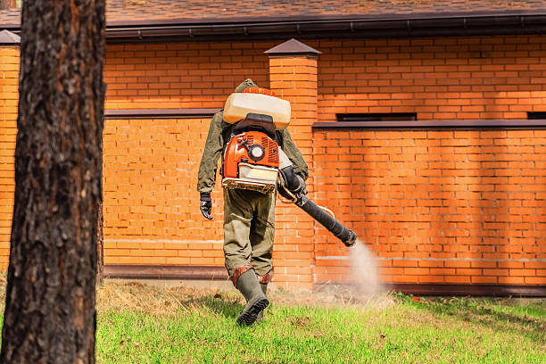 Top rated local Termite Control specialists in Trinity, NC